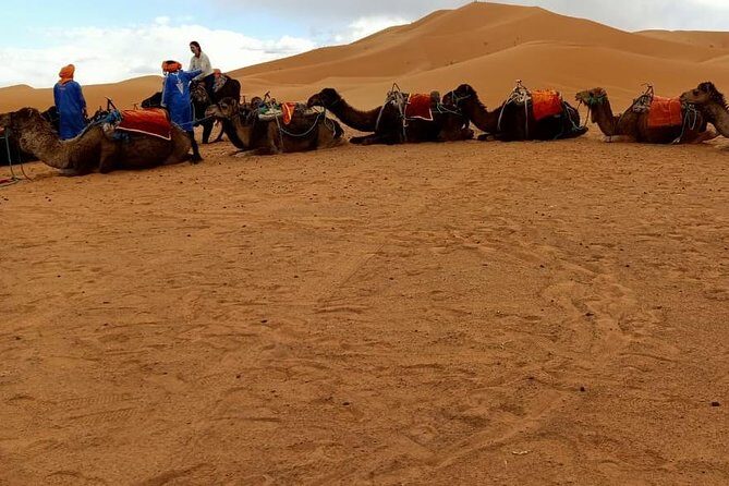 3 Days 2 Nights: Desert Tour from Fes to Marrakech - Merzouga — The Gateway to the Sahara