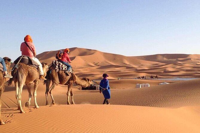 3 Days 2 Nights Desert Trip From Fez to Marrakech in Group - Authentic Cultural and Natural Encounters