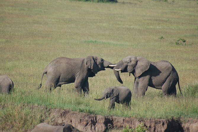 3 Days 2 Nights in Maasai Mara via The Great Rift Valley - A Practical Look at the Itinerary