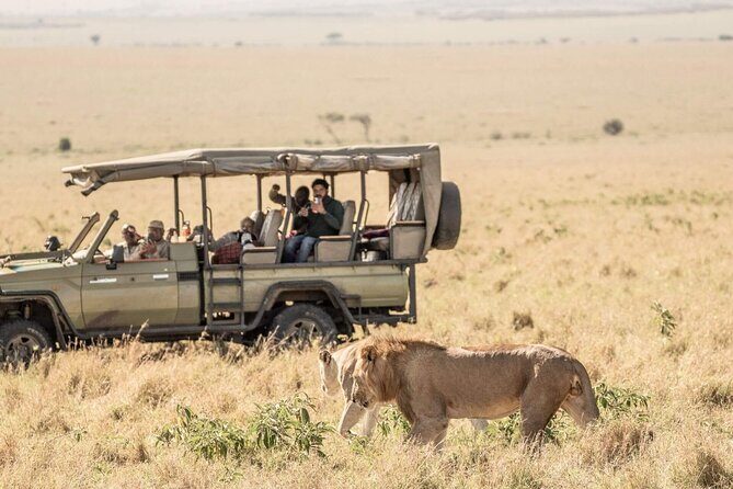 3 Days 2 Nights Maasai Mara National Reserve Joining Safari - What’s Included and What Costs Extra?