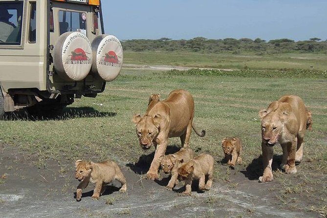 3 days 2 nights Masai Mara Budget safari from Nairobi - Guides and Wildlife Encounters