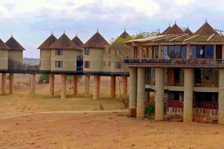 3 Days 2 Nights Private Safari to Salt Lick - Salt Lick Lodge: The Main Attraction