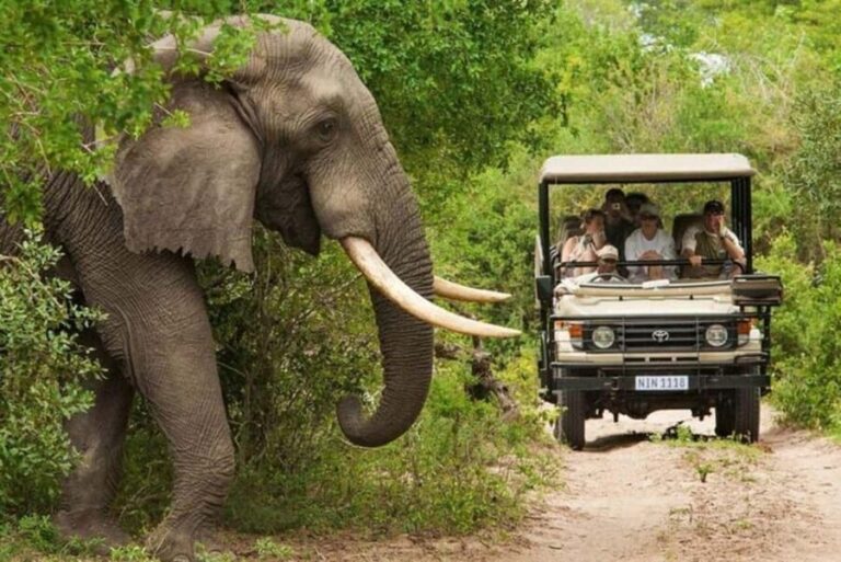 3 DAYS, 2 NIGHTS SAFARI FROM ZANZIBAR TO MIKUMI BY FERRY. - What to Expect: A Detailed Breakdown