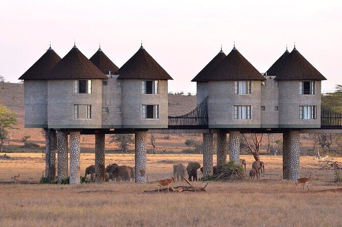 3 Days 2 Nights Safari to Saltlick Lodge from Nairobi - What travelers love most