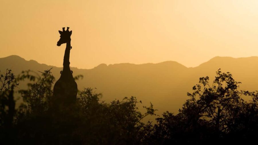 3 DAYS 2 NIGHTS TO NYERERE PARK FROM ZANZIBAR BY FLIGHT - Frequently Asked Questions