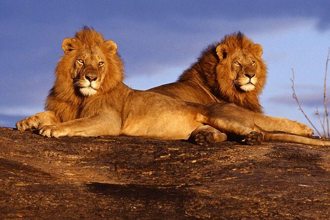 3 Days (2 nights); Tsavo East & West Safari: - Frequently Asked Questions