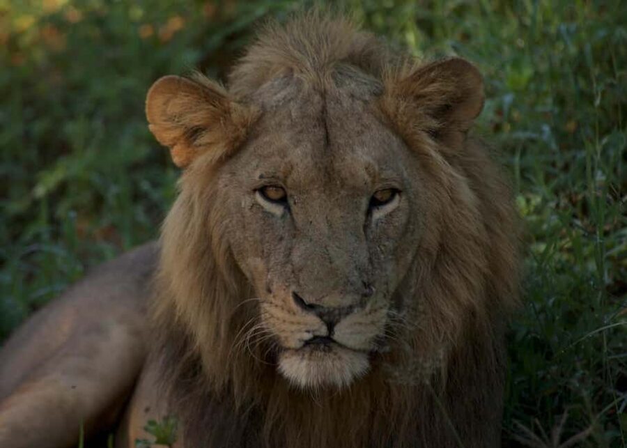 3-days adventure from Dar-es-Salaam to Mikumi National Park - Who Will Love This Tour?
