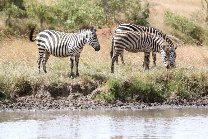 3 Days Amboseli national Park experience. - The Experience in Detail