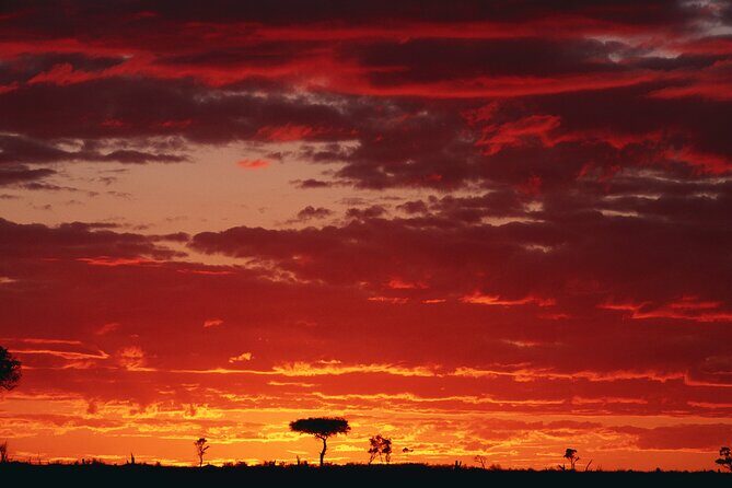 3 Days and 2 Nights Adventure in Masai Mara - What Makes This Tour Stand Out?