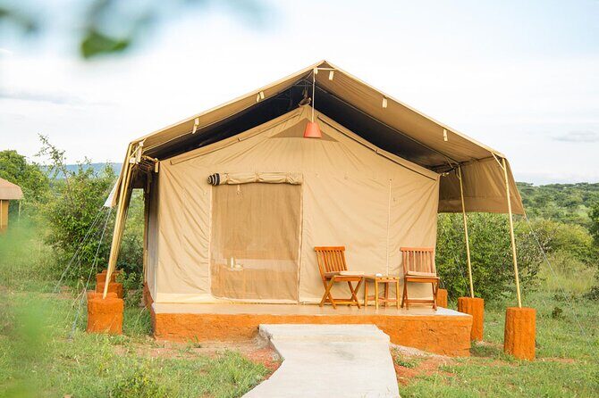 3 Days Best of MasaiMara Wildlife Private Safari, Mid-Range offer - What Makes This Tour Stand Out