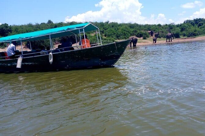 3 Days Best of Queen Elizabeth National Park Wildlife Tour - Authentic Experiences That Stand Out