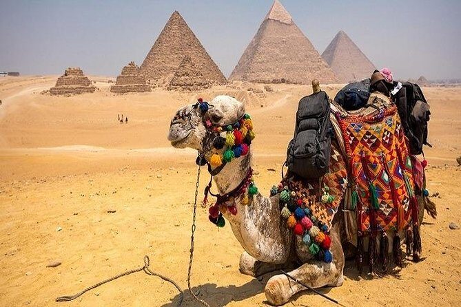 3 Days Cairo and Alexandria Tours including the entrance fees - Authentic Experiences and Real-World Practicalities