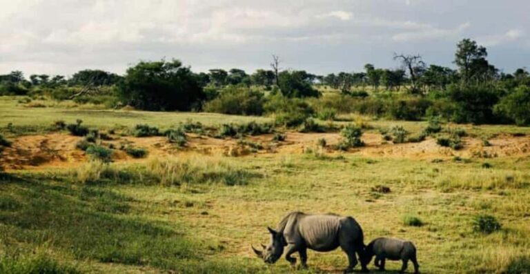3 Days Camping Safari - What’s Included and What’s Not