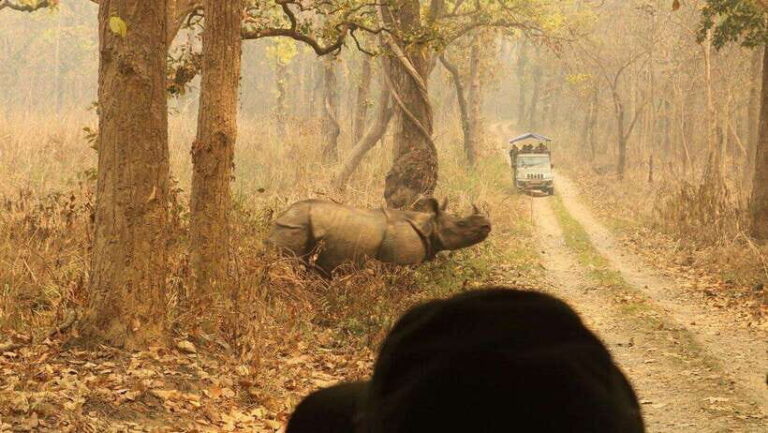 3 Days Chitwan Safari - What You Can Expect from the 3-Day Chitwan Safari