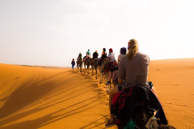 3 Days Desert Tour Fes to Marrakech with 2 Nights in Merzouga - What Travelers Say