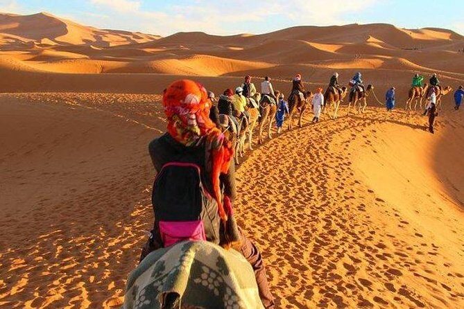 3 days Desert tour from Fez to Marrakech via Merzouga - The Experience: What You’ll Love