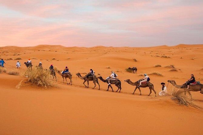 3 Days Desert tour from Marrakech to Merzouga including Camel ride and Kasbahs - Day Three: Back to Marrakech with Desert Memories