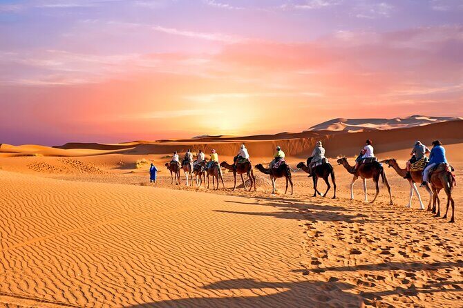 3-Days Desert Tour Marrakech to Fes via Merzouga Desert - What travelers love about this tour