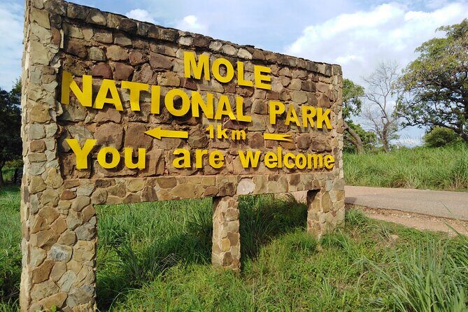 3 Days Elephants Safari at Mole Park with Round - trip flights - An In-Depth Look at the 3-Day Mole Safari