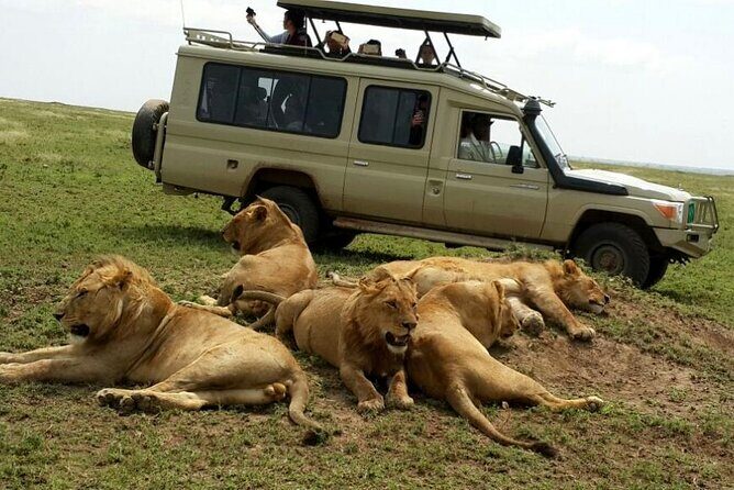 3 Days Fly in & Out Serengeti Park - The Accommodation and Transport