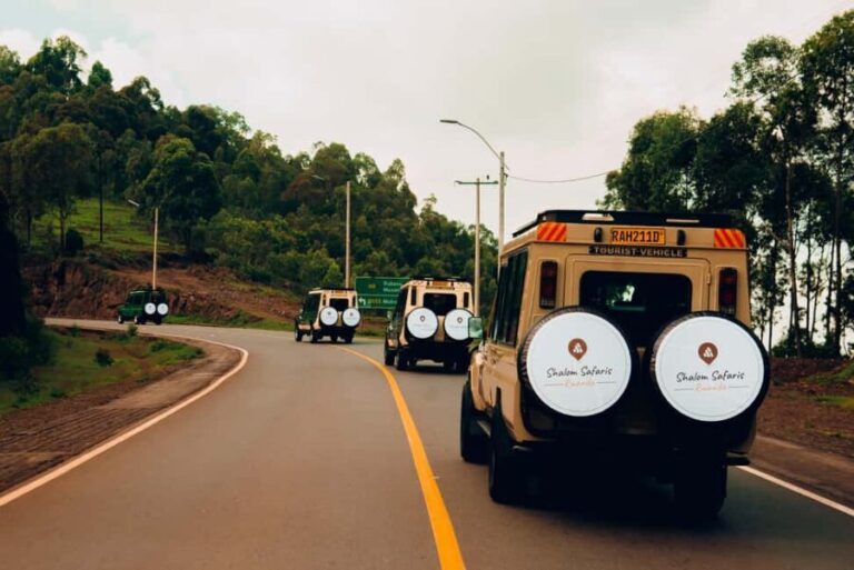 3 Days Gorilla & Golden Monkey Trekking - The Value of This Tour