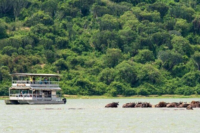3 Days gorilla trekking Safari tour in Uganda - Day 3: From Scenic Bunyonyi to Entebbe