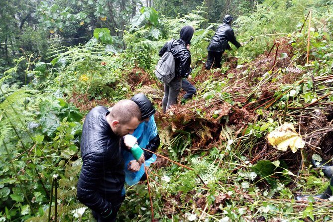 3 Days Gorilla trekking Safari Uganda, Bwindi Impenetrable Forest - The Accommodation: Gorilla Valley Lodge