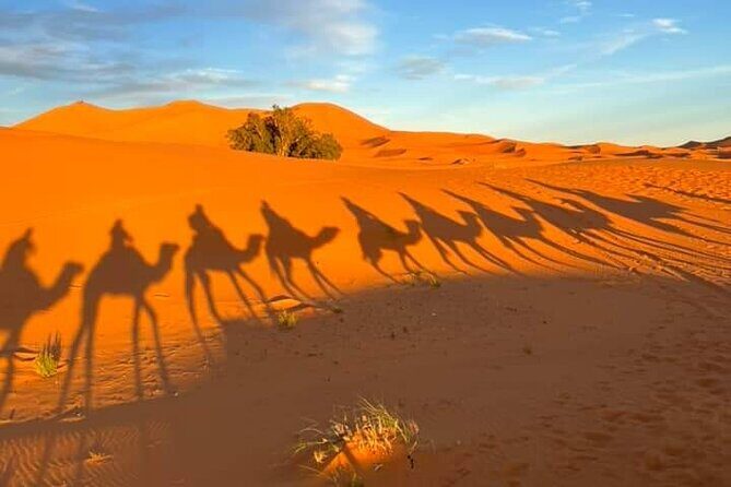 3 Days Group Tour from Marrakech to Merzouga Desert - What Makes This Tour Stand Out?