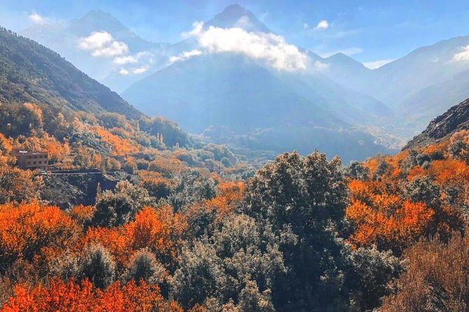 3-Days High Atlas Mountains Hiking Tour from Marrakech - What Travelers Say About This Tour