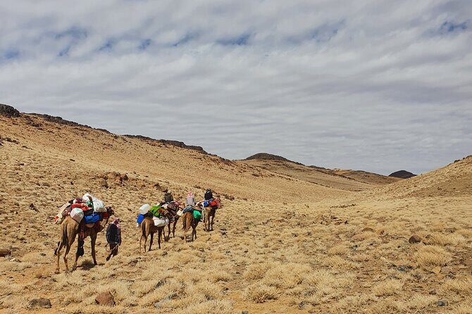 3 Days Hike Experience in Sinai Heights on Old Trails - Final Thoughts