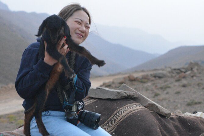 3 Days Homestay with Last Berber Nomads in The Atlas Mountains - Who Will Love This Tour?
