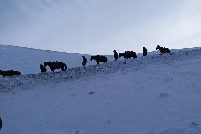 3 days horse back riding to Song-Kul lake whole year round - Day 3: Return to Kyzart and Transfer to Kochkor