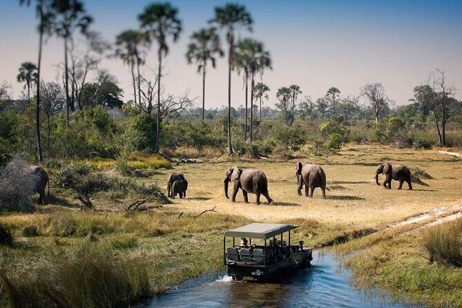 3-Days Lodge Safari in Tarangire, Ngorongoro Crater & Lake Manyara - What Makes This Safari Stand Out?