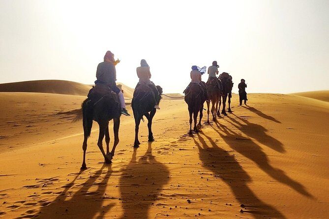 3 Days Luxury Desert Tour from Marrakesh Morocco - Who Will Love This Tour