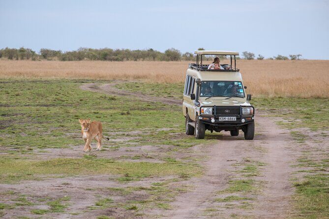 3 days Luxury Safari Tour in Tanzania - What Makes This Safari Stand Out?