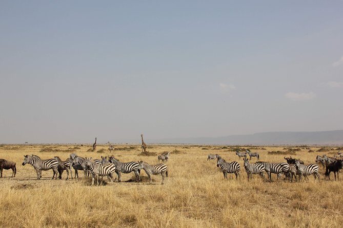 3 Days Maasai Mara Luxury Camping - What Makes This Tour Stand Out?