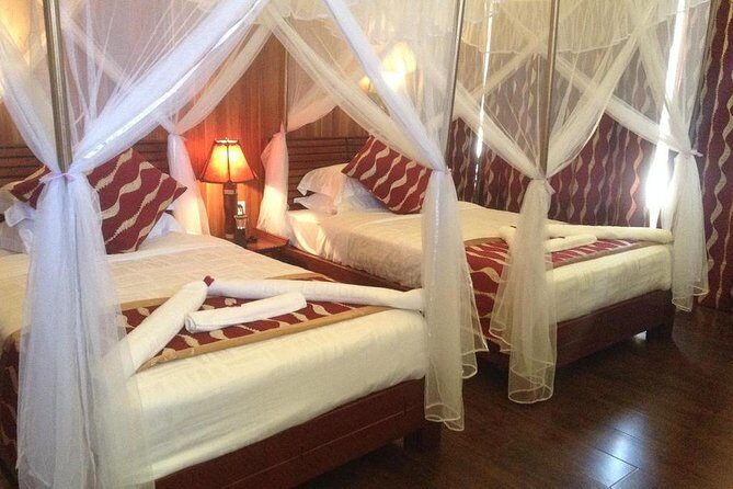 3 Days Maasai Mara Private Safari at AA Lodge from Nairobi - A Practical Guide to the Maasai Mara Safari