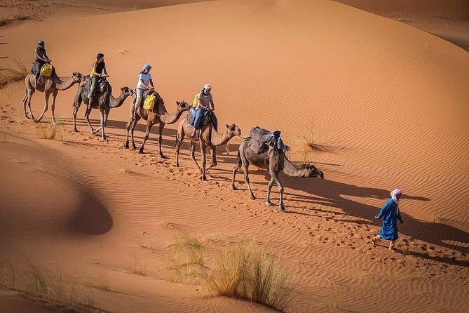 3 Days Marrakech To Fes Desert Tour Via Merzouga - What Makes This Tour Stand Out?