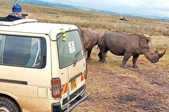 3 Days Masaai Mara budget safari - Reviews and Real Traveler Insights