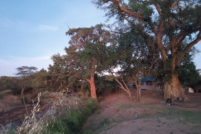 3 Days Masai Mara Camping Safari - In-Depth Look at the Itinerary