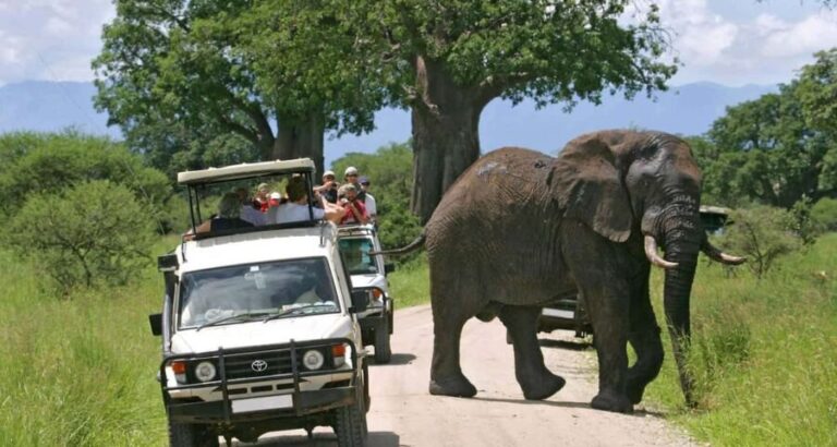 3 Days Masai Mara Gamedrive Safari on 4x4 Landcruiser Jeep - Authentic Encounters and Real-World Experiences