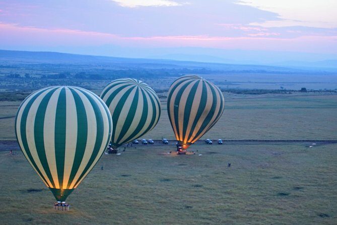 3 Days Masai Mara National Reserve Safari - What Makes This Tour Stand Out
