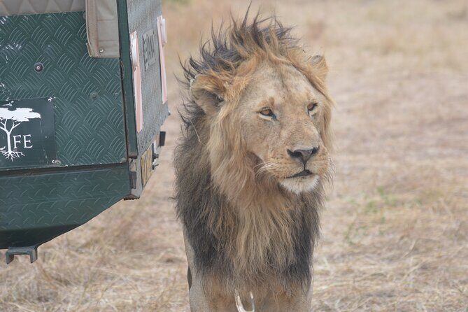 3-Days Masai Mara Rhythms Safari - Who Will Love This Tour?