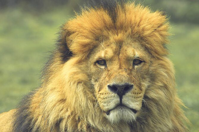 3 Days Masai Mara - The Practical Side: What’s Included and What’s Not