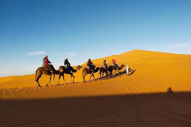 3 Days Merzouga Tour - What Makes This Tour Stand Out