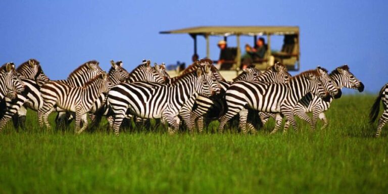 3 Days Migration Trip in Serengeti and Ngorongoro - What Makes This Tour Stand Out?