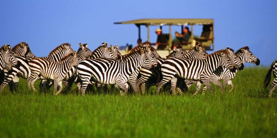 3 Days Migration Trip in Serengeti and Ngorongoro