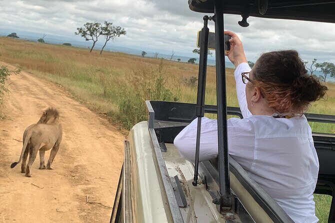 3 Days Mikumi National Park Private Tour - The Sum Up