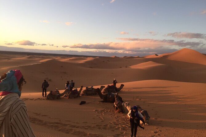 3 Days Morocco Desert Marzouga Tour from Marrakech To Fès - What Travelers Say: Authentic Feedback