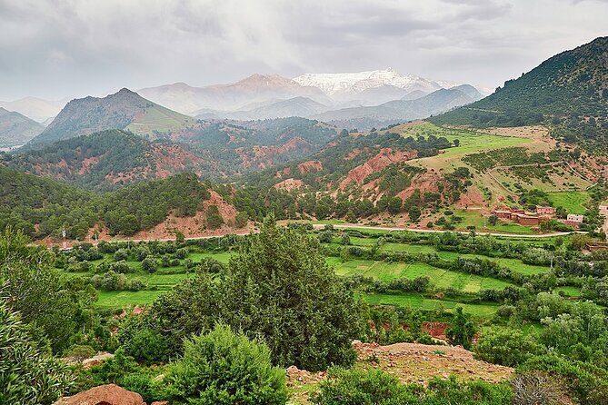 3-Days Morocco Tour : Sahara Desert Tour from Fes to Marrakech - What the Reviews Say